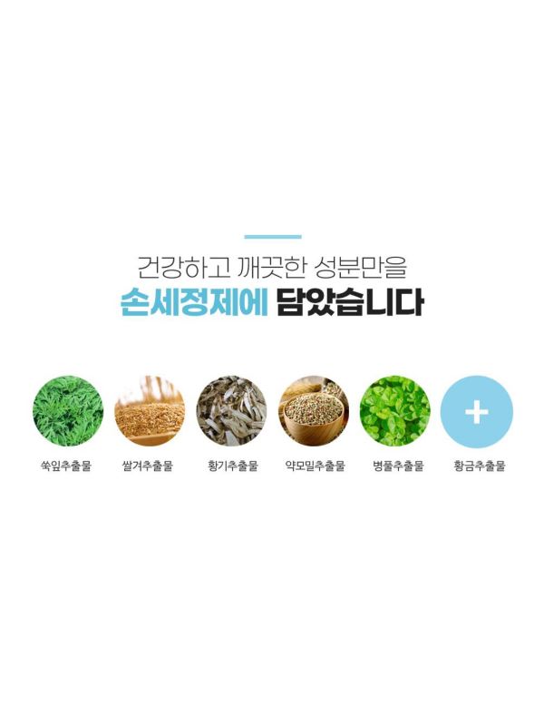 식스 플랜츠 핸드 스위퍼